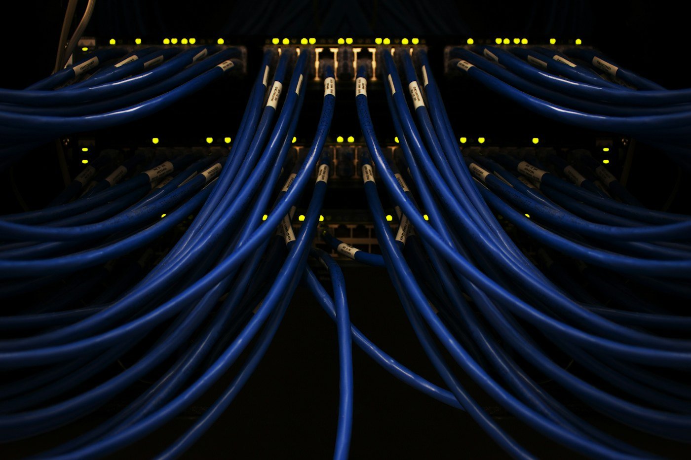 Blue network cables connected to networking equipment