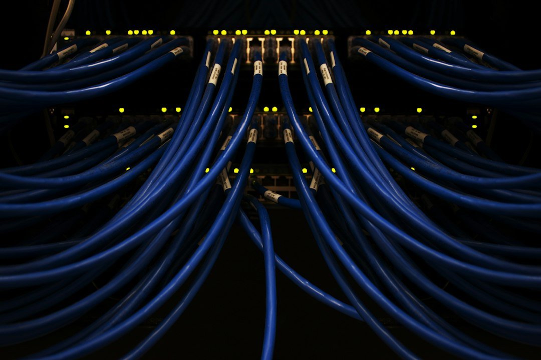 Structured cabling patch panel with Ethernet cables for office LAN network